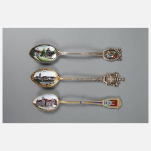 Konvolut Andenkenlöffel