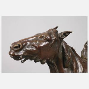 Antoine Bofill, "Le Dernier d'une Race"