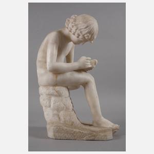 Großer Dornauszieher