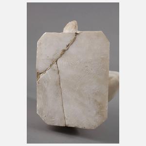 Großer Dornauszieher