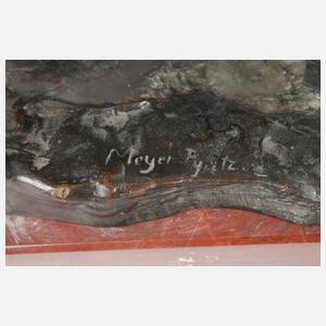 Martin A. R. Meyer-Pyritz, schleichender Fuchs