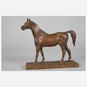 Christophe Fratin, stehender Hengst