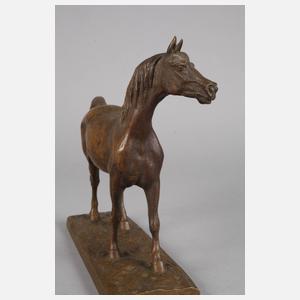 Christophe Fratin, stehender Hengst