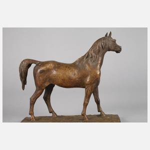 Christophe Fratin, stehender Hengst