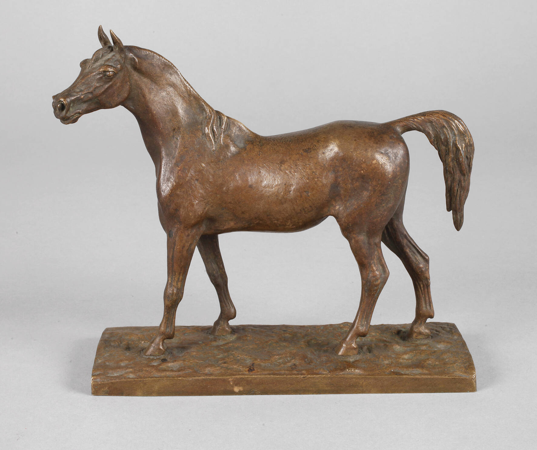 Christophe Fratin, stehender Hengst