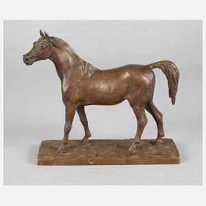 Christophe Fratin, stehender Hengst