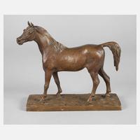 Christophe Fratin, stehender Hengst111