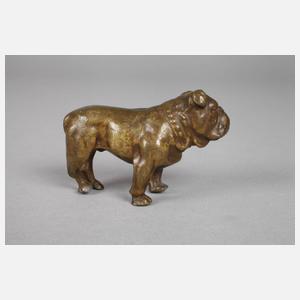 Kleinbronze Bulldogge