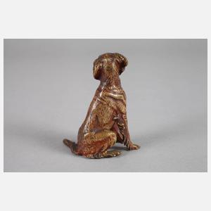 Wiener Bronze sitzender Hund