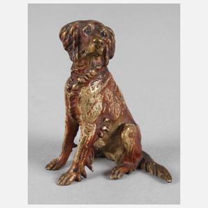 Wiener Bronze sitzender Hund