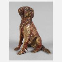 Wiener Bronze sitzender Hund111