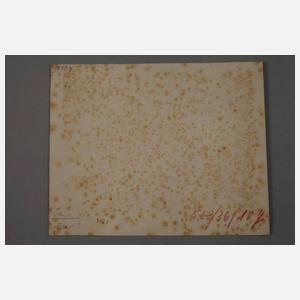 Margaretha Grunelius, "Alceste" nach Tischbein