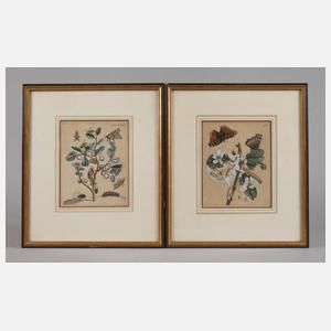 Paar botanische Tafeln