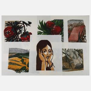 Heiner Bauschert, Sammlung Farbholzschnitte