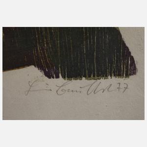 Heiner Bauschert, Konvolut Graphiken