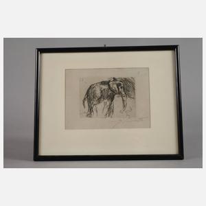 Prof. Lovis Corinth, Elefant