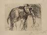 Prof. Lovis Corinth, Elefant