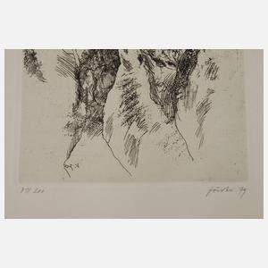 Prof. Wieland Förster, Felsformation