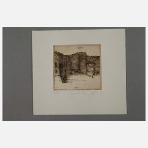 Walter Herzog, Konvolut Radierungen