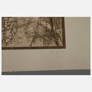 Walter Herzog, "Weinberg Bosel"