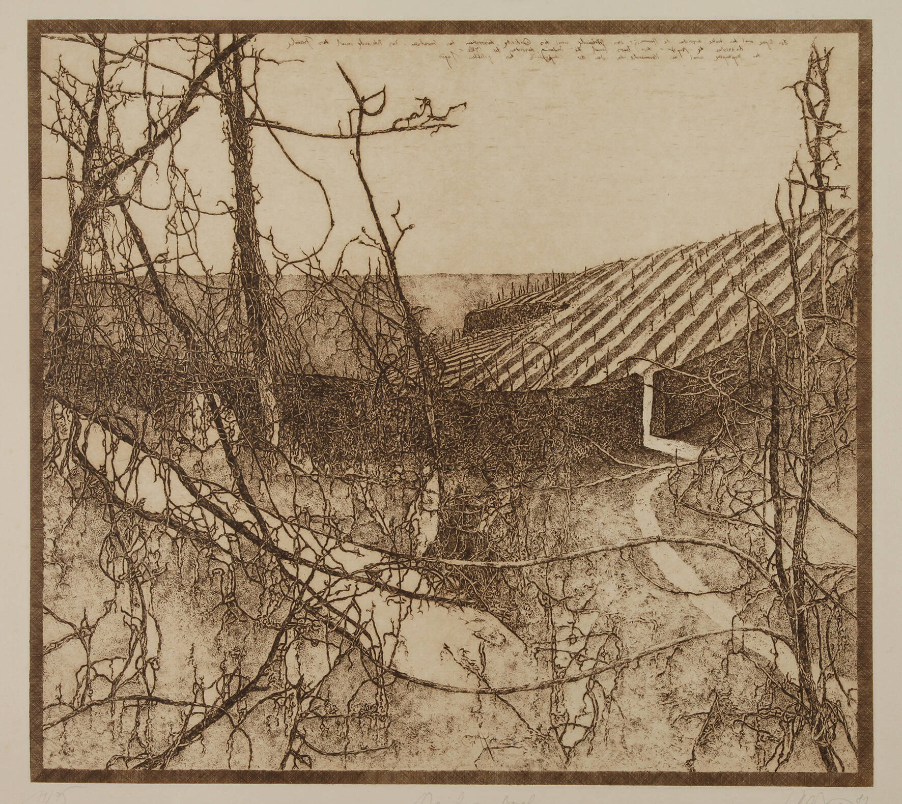 Walter Herzog, "Weinberg Bosel"