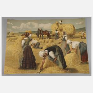 Adolf Hofner, Bei der Ernte