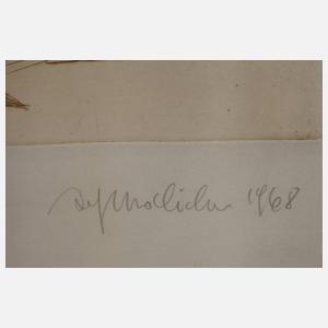 Prof. Alfred Hrdlicka, "Der Transport"