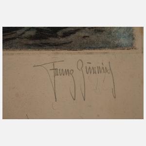 Franz Zürning, Graphikkonvolut