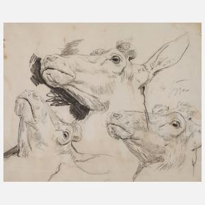 Prof. Ernst Moritz Geyger, Rinderstudie