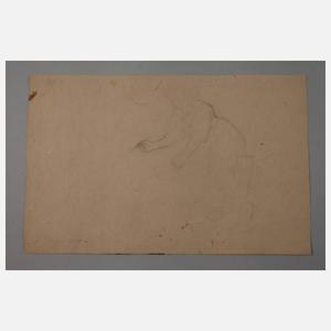 Konvolut Aktdarstellungen