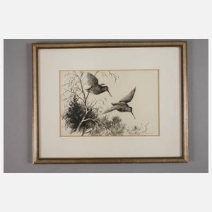 Ernst-Ludwig von Aster, Konvolut Tierdarstellungen