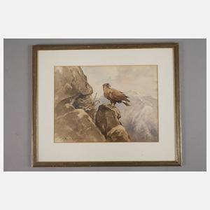 Ernst-Ludwig von Aster, Konvolut Tierdarstellungen