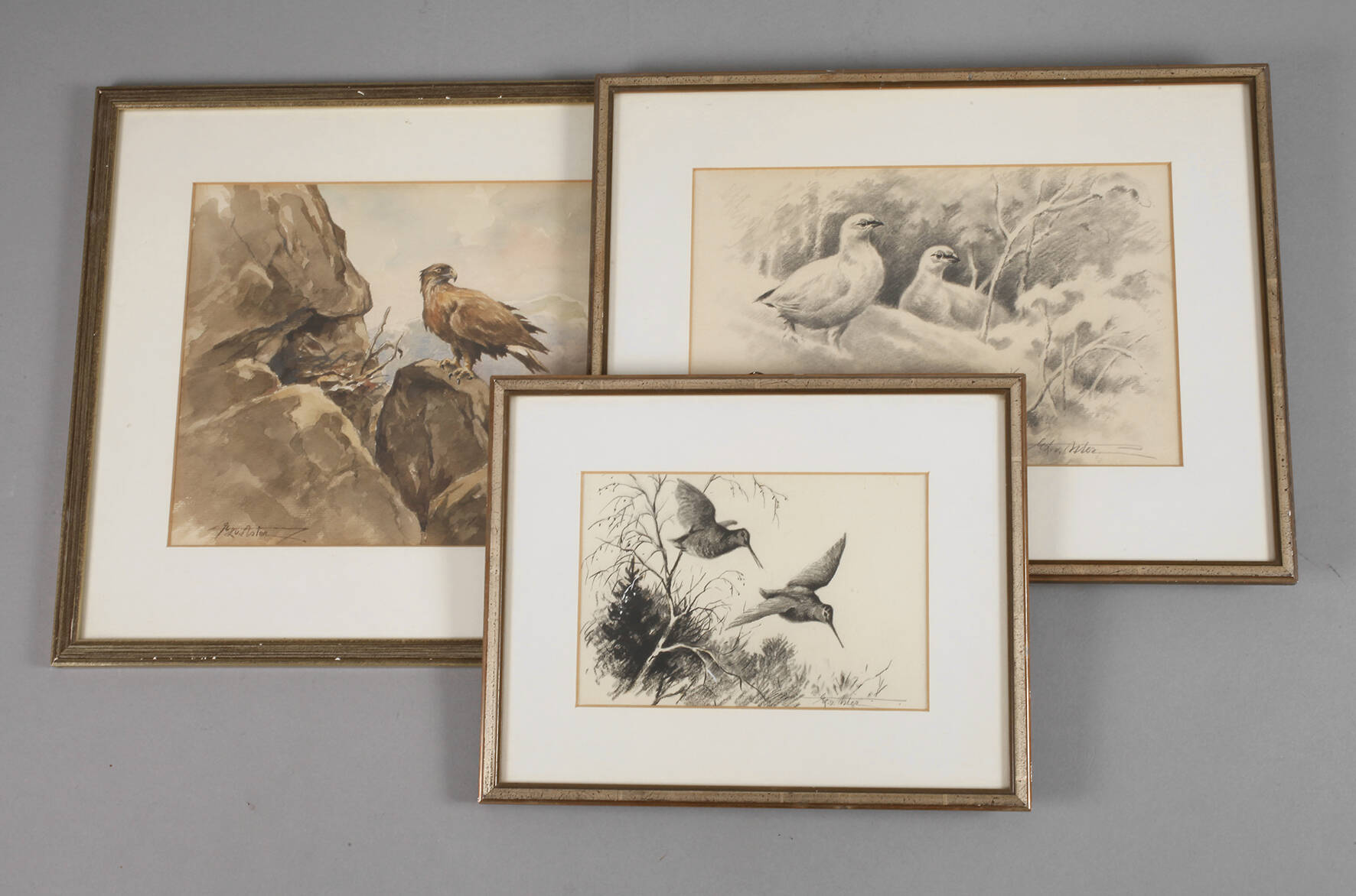 Ernst-Ludwig von Aster, Konvolut Tierdarstellungen