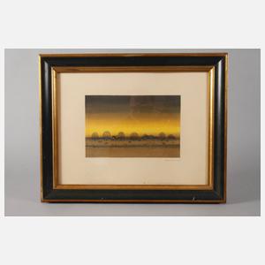 Werner von Boltenstern, Dorf mit Pferdekoppel