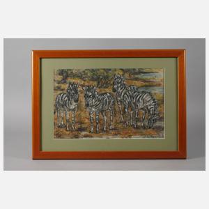 Fritz von Heider, Zebras