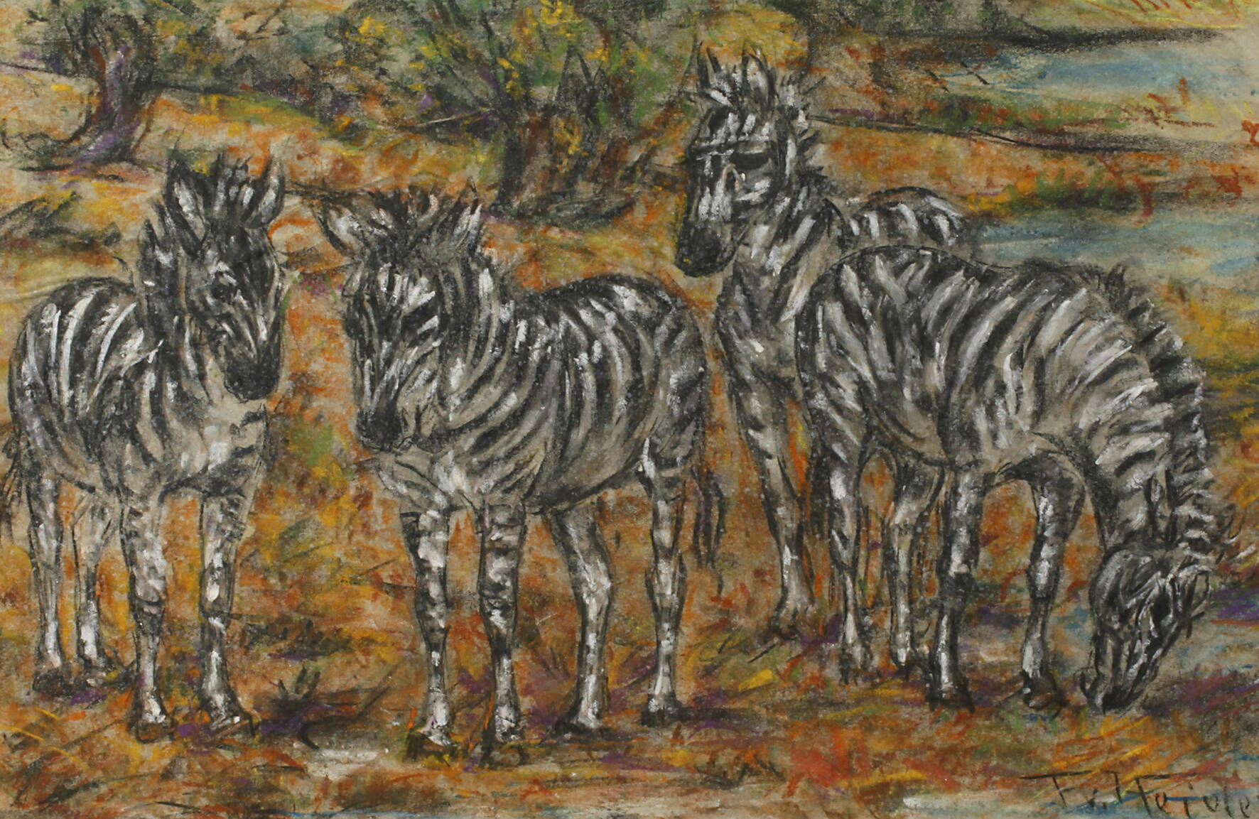 Fritz von Heider, Zebras