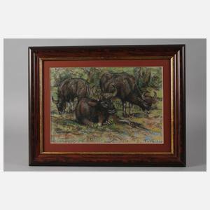 Fritz von Heider, Wasserbüffel