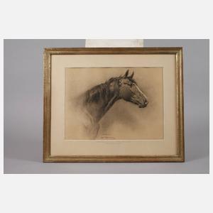 Iwan E. Hugentobler, "Der Hengst"