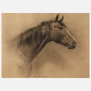 Iwan E. Hugentobler, "Der Hengst"