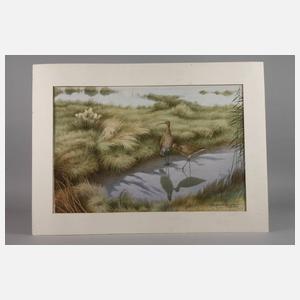 Karl Ewald Olszewski, "Brachvögel"