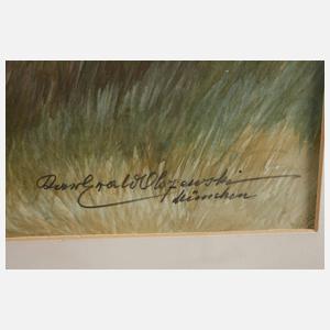 Karl Ewald Olszewski, "Brachvögel"