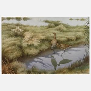 Karl Ewald Olszewski, "Brachvögel"