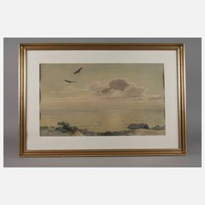 Karl Ewald Olszewski, "Kreisende Seeadler"