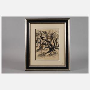 Hugó Scheiber, "Raubvogel im Geäst"