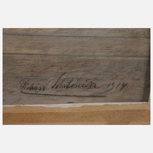 Richard Schulmeister, Wienansicht