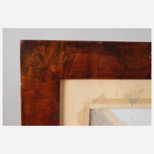 Richard Schulmeister, Wienansicht