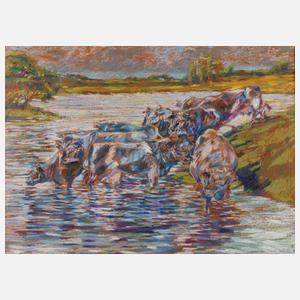 Kühe in der Schwemme