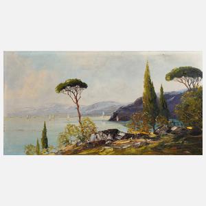 Manfred Feiler, Südliche Landschaft