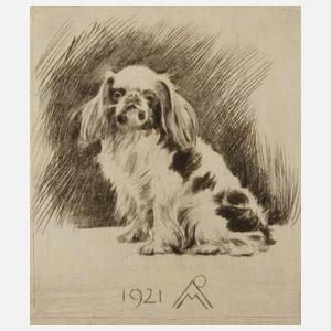 Prof. Richard Müller, "Sitzender Pekinese"