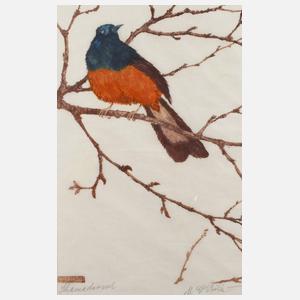 Martin Erich Philipp, "Schamadrossel"